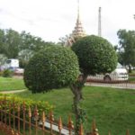 Фото номер 47 с храма Ват Чалонг