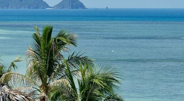 Обзор новостей за неделю (08 — 14.08.2020)