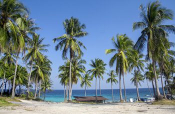 Экскурсия с Пхукета на остров Рача Яй фото №1