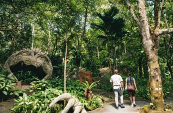 Экскурсия Полет Гиббона на Пхукете фото №1