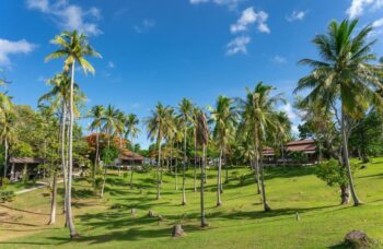 Экскурсия на острова Рача с Пхукета фото №14