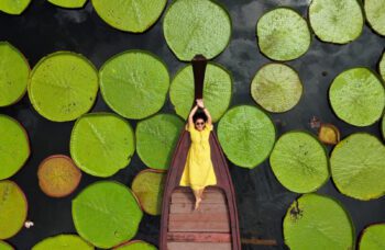 Экскурсия “Путь Аватара” с Пхукета фото №3