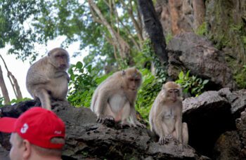 Экскурсия в национальный парк Као Лак фото №4