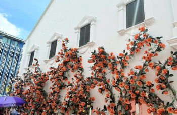 Обзорная Экскурсия по Пхукету фото №6