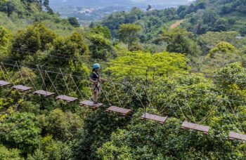 Экскурсия Полет Гиббона на Пхукете фото №11