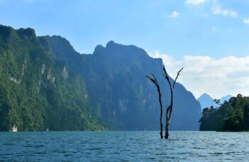 Экскурсия в Као Сок и на озеро Чео Лан фото №7