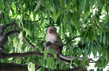 РАФТИНГ фото №7