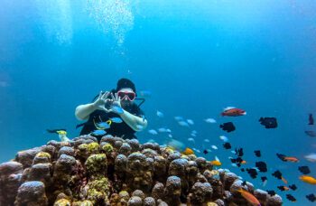 Дайвинг на Пхукете фото №8