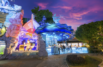 Фантазия шоу на Пхукете фото №8