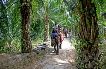 Экскурсия в Краби 1 день с Пхукета фото №8