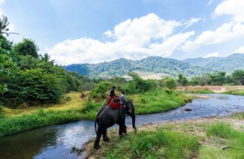 Экскурсия “Путь Аватара” с Пхукета фото №9