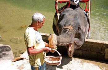 РАФТИНГ фото №9