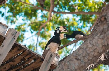 Экскурсия на остров Корал c Пхукета фото №9