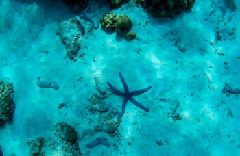 Экскурсия на острова Пхи Пхи с Пхукета фото №10