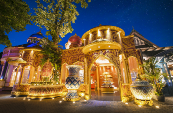 Фантазия шоу на Пхукете фото №10