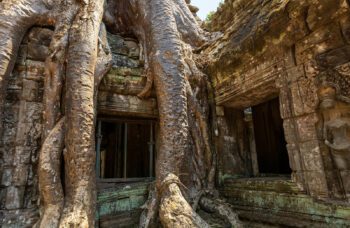 Экскурсия с Пхукета в Камбоджу фото №10