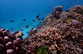 Рача Яй + Рача Ной фото №6