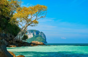 Экскурсия на острова Пхи Пхи с Пхукета фото №11