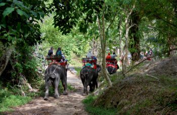 РАФТИНГ фото №11