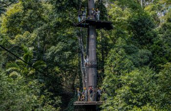 Экскурсия Полет Гиббона на Пхукете фото №12