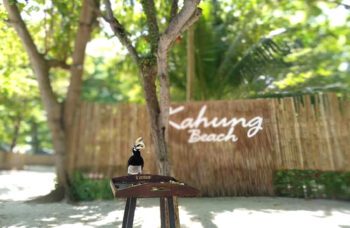 Экскурсия на остров Корал c Пхукета фото №11