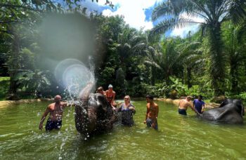 Экскурсия “Путь Аватара” с Пхукета фото №12