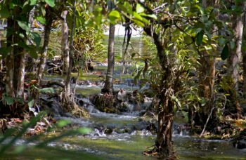 Экскурсия в Краби 1 день с Пхукета фото №16