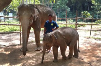 Экскурсия в Као Сок и на озеро Чео Лан фото №16