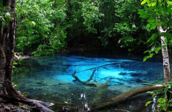 Экскурсия в Краби 1 день с Пхукета фото №18