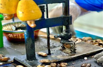 Обзорная Экскурсия по Пхукету фото №18