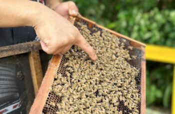 Обзорная Экскурсия по Пхукету фото №20