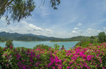 Экскурсия в Као Сок и на озеро Чео Лан фото №22