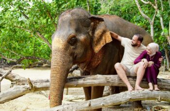 Слоновая ферма на Пхукете, сафари на слонах фото №14