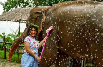 Слоновая ферма на Пхукете, сафари на слонах фото №4