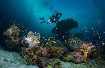 Экскурсия с Пхукета на Симиланские острова фото №12