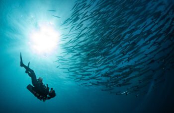 Экскурсия с Пхукета на Симиланские острова фото №16