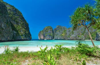 4 жемчужины фото №20