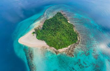 4 жемчужины фото №13