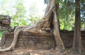 Ангкор Ват фото №28