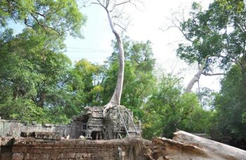 Ангкор Ват фото №27