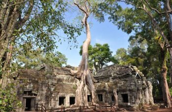Ангкор Ват фото №26