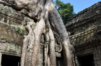 Ангкор Ват фото №25
