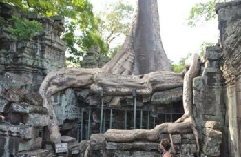 Ангкор Ват фото №24