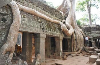 Ангкор Ват фото №23