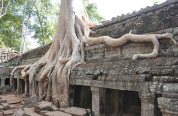 Ангкор Ват фото №22