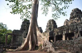 Ангкор Ват фото №20