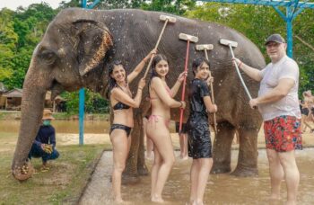 Парк сохранения слонов на Пхукете №13