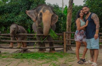 Парк сохранения слонов на Пхукете №4