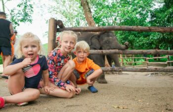 Парк сохранения слонов на Пхукете №11