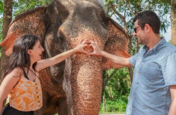 Парк сохранения слонов на Пхукете №9